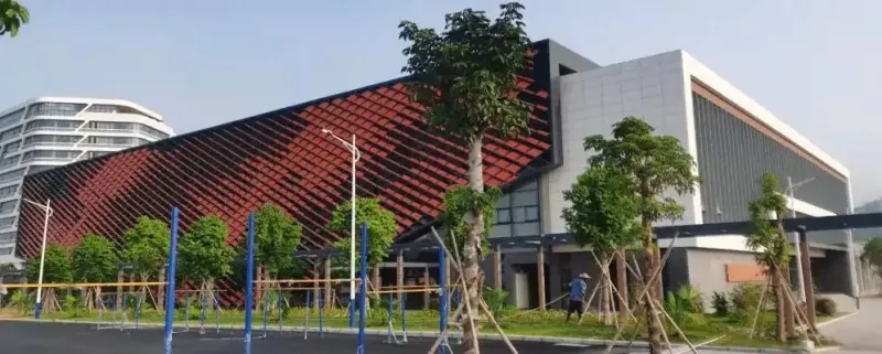 Gymnasium ya Muundo wa Nafasi Truss